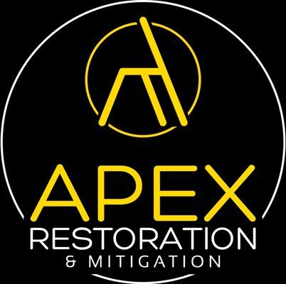 Apex logo before rebrand